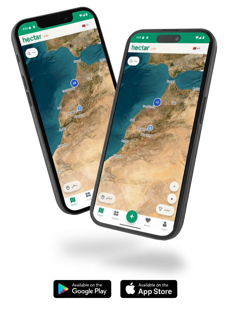 Mobile App Preview